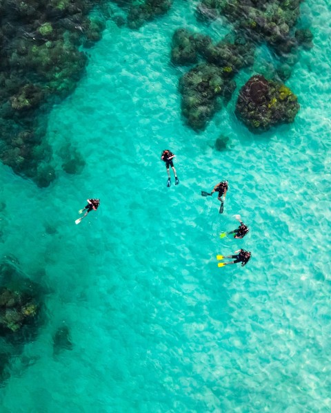 people swimming in the sea during daytime