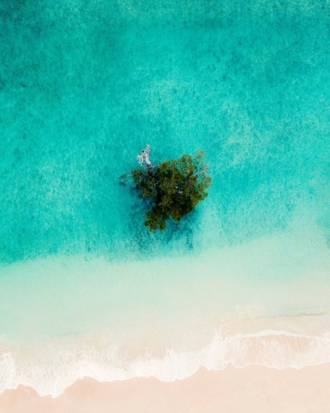 bird eye photography of island beside body of water