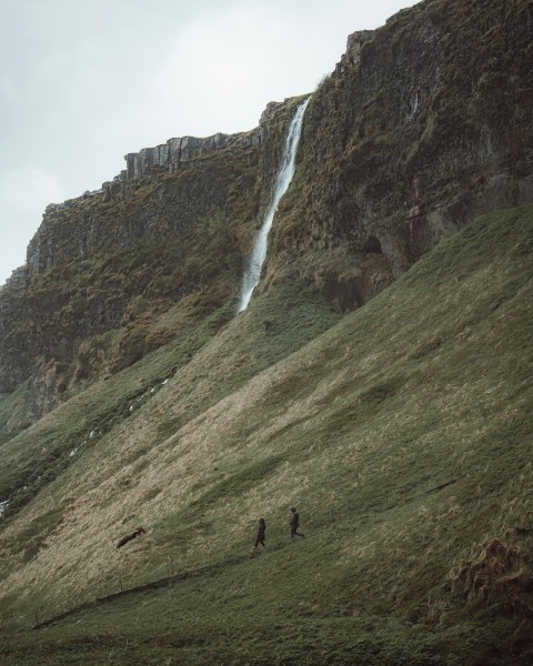 a couple of people standing on top of a lush green hillside