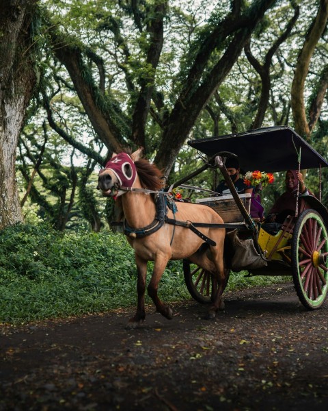 a horse pulling a carriage down a dirt road