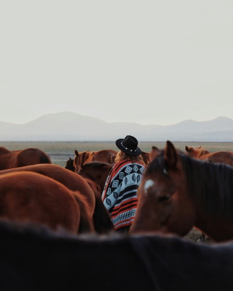 a man standing in front of a herd of horses