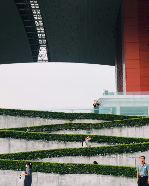 people in a park during daytime