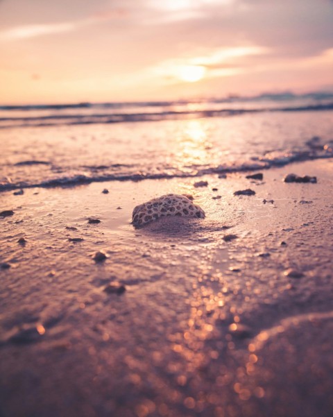 white rock on seashore