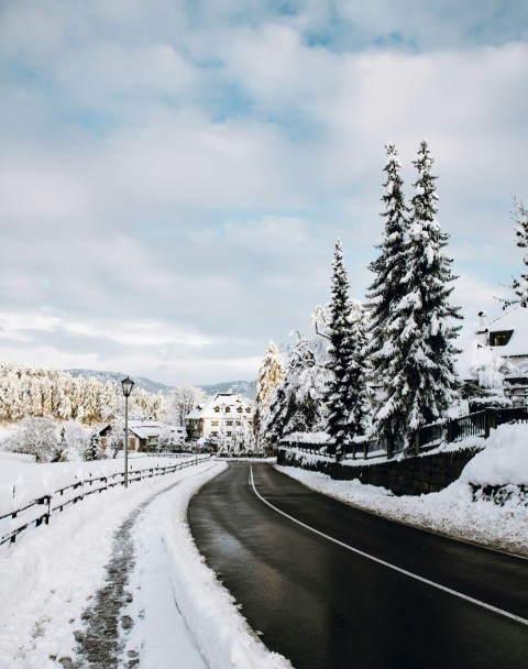 snow covered road near trees and houses under white clouds and blue sky during daytime