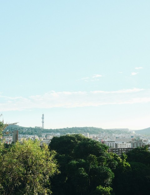 a view of a city from a hill