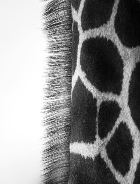 a close up of a giraffes fur