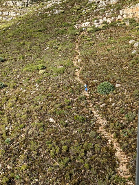 a person walking up a trail in a field