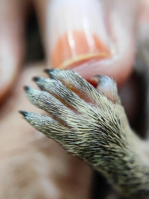 a close up of a persons hand holding something