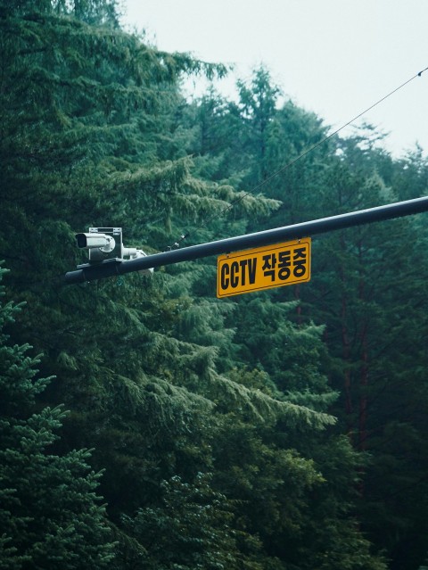 a street light with a yellow street sign hanging from its side