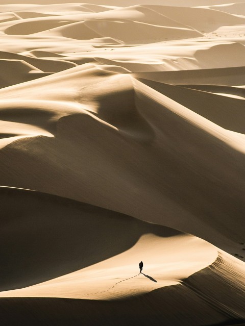 person walking in the desert