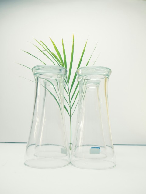 a couple of glass vases with green plants in them