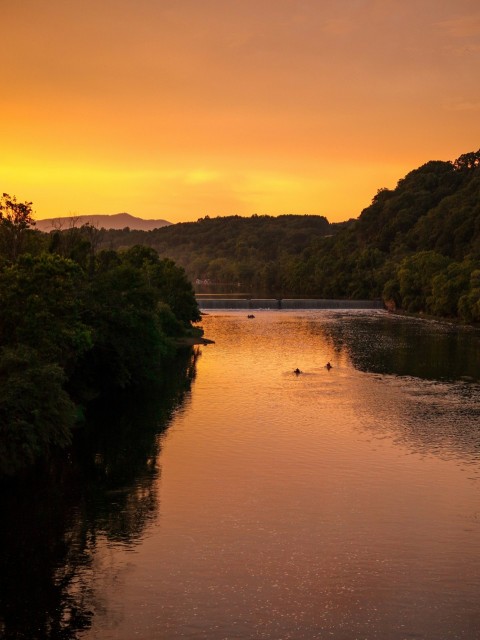 a body of water surrounded by trees at sunset