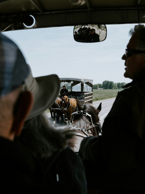 man riding horse with carriage b