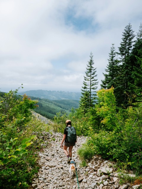 a man walking a dog on a rocky trail