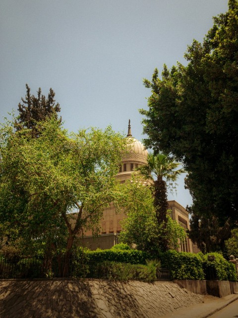 a large building with a dome surrounded by trees