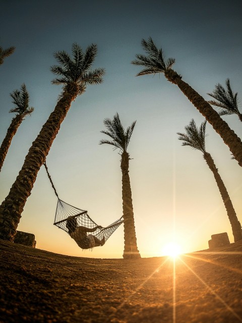 woman lying down on hammock during daytime