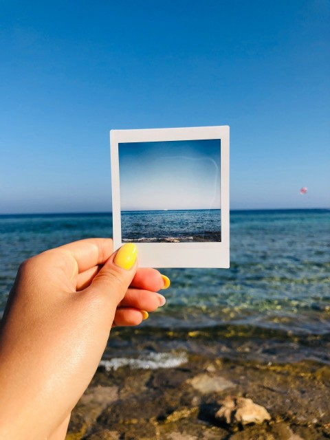 person holding white picture frame