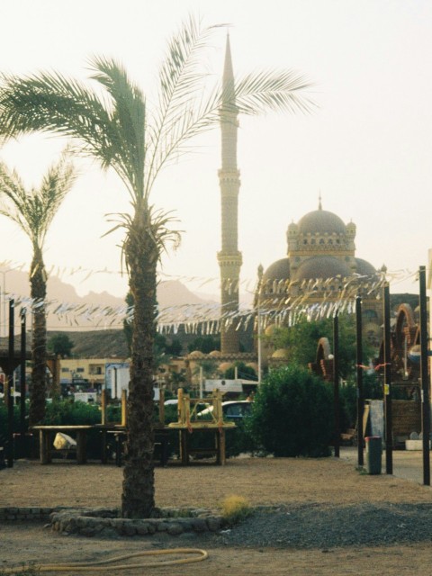 people walking on park during daytime