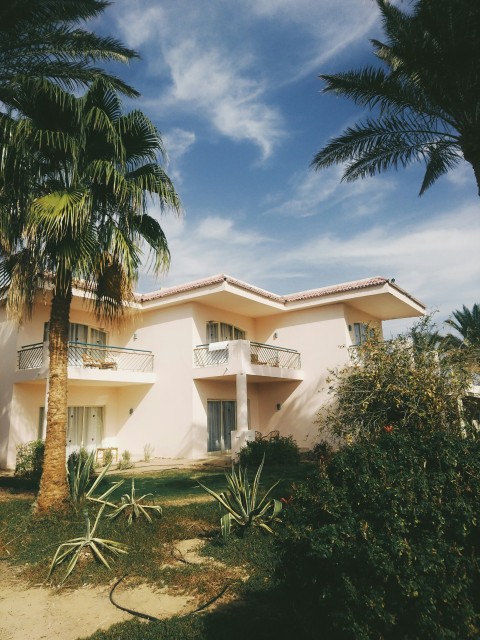 a house with palm trees in front of it