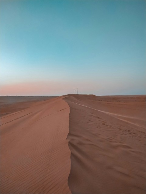 a lone tree in the middle of a desert FPxZNvGT