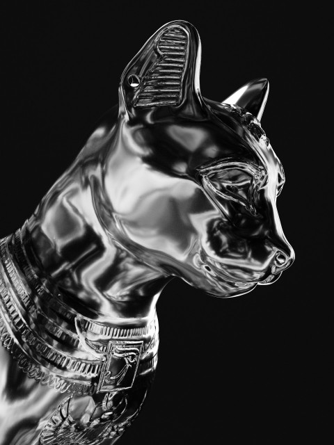 a black and white photo of a glass cat Fee