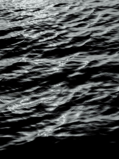 a black and white photo of the water QS0