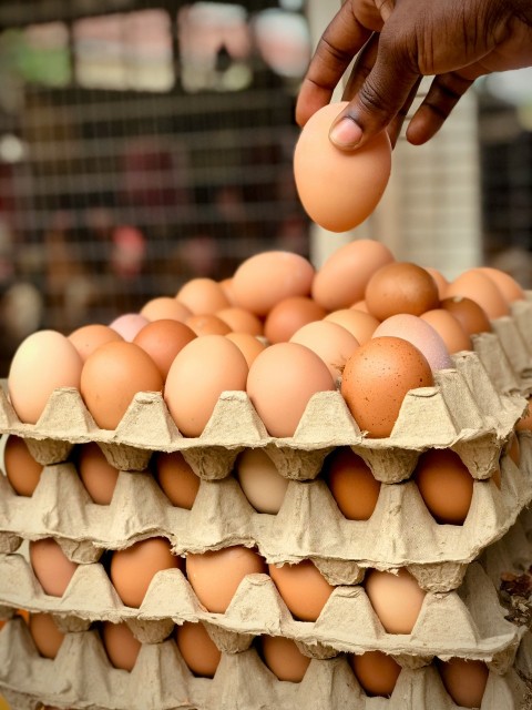 a person reaching for an egg in a carton