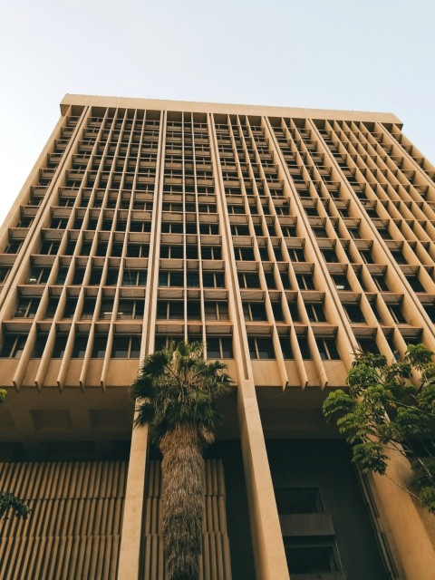 a tall building with palm trees in front of it