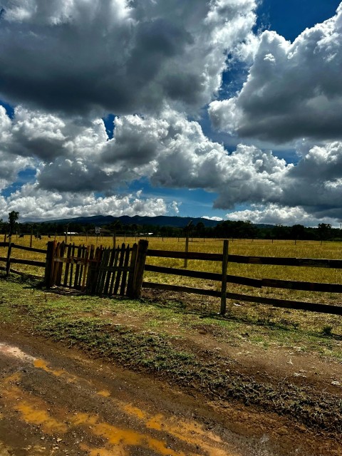 a dirt road next to a wooden fence