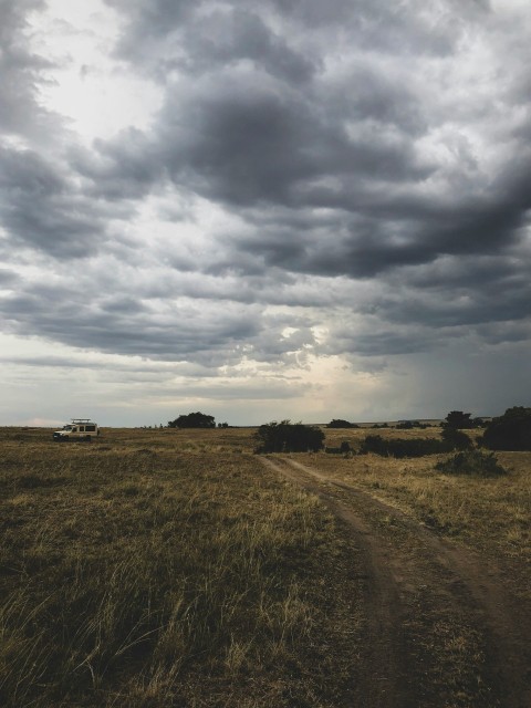 brown field under gray clouds