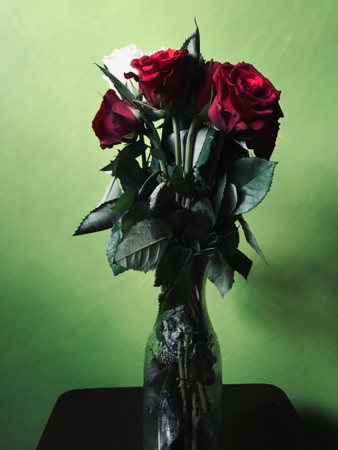 red roses in clear glass vase