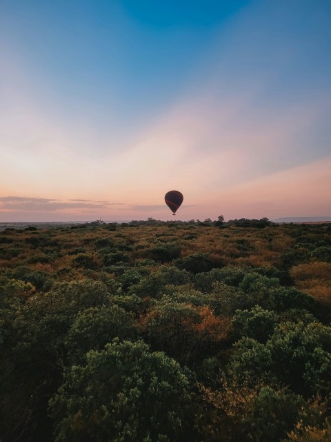 a hot air balloon flying over a lush green field