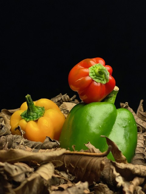 a group of three peppers sitting on top of leaves