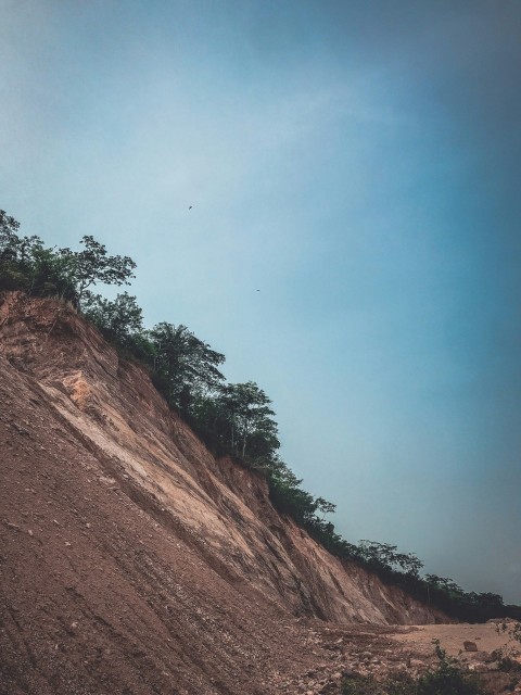 a dirt hill with trees on top of it