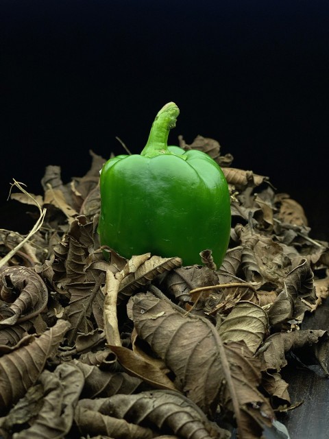 a green pepper sitting on top of a pile of leaves