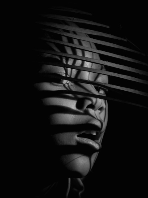 a black and white photo of a womans face behind a blind VDI