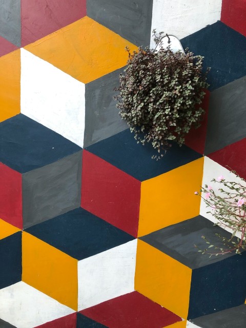 green plant on yellow red and blue checkered textile