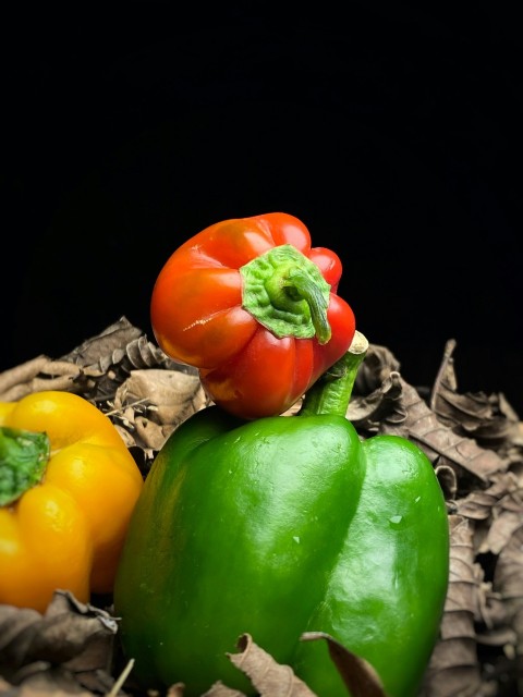 a group of peppers sitting on top of a pile of leaves 6c