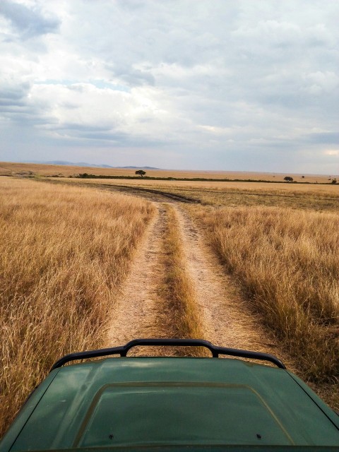 vehicle passing on dirt road between grass field during daytime