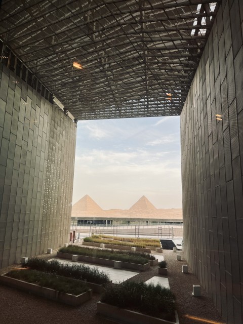 a large building with a bunch of plants inside of it