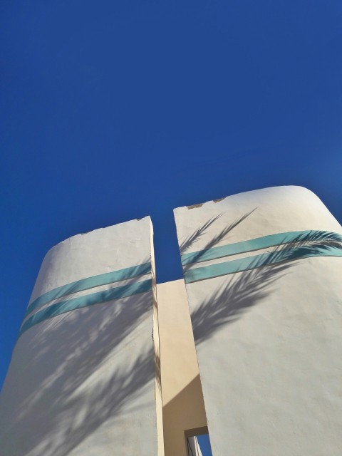 a tall white building with a palm tree in front of it