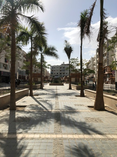 green palm trees near white concrete building during daytime