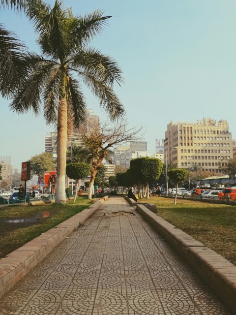 people walking on sidewalk near high rise buildings during daytime _