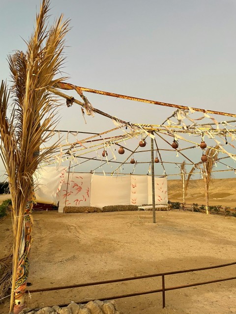 a desert area with a metal fence and a dry grass plant