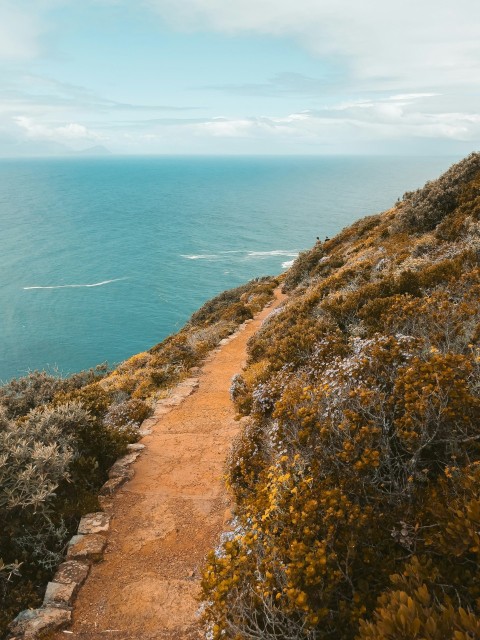 a path leading to the top of a hill