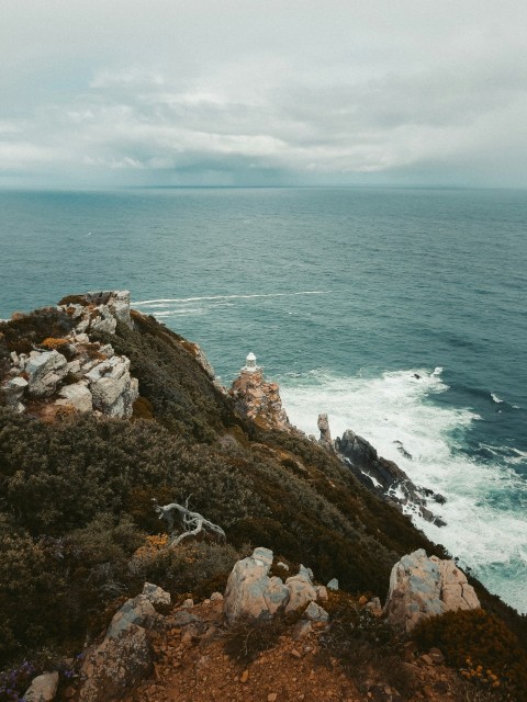 a couple of birds sitting on top of a rocky cliff AH