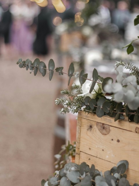 grey petals on top of brown crate