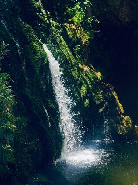 shallow focus photo of water falls during daytime