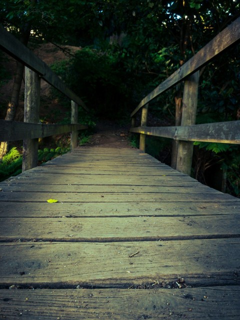 a wooden bridge with a yellow frisbee on it