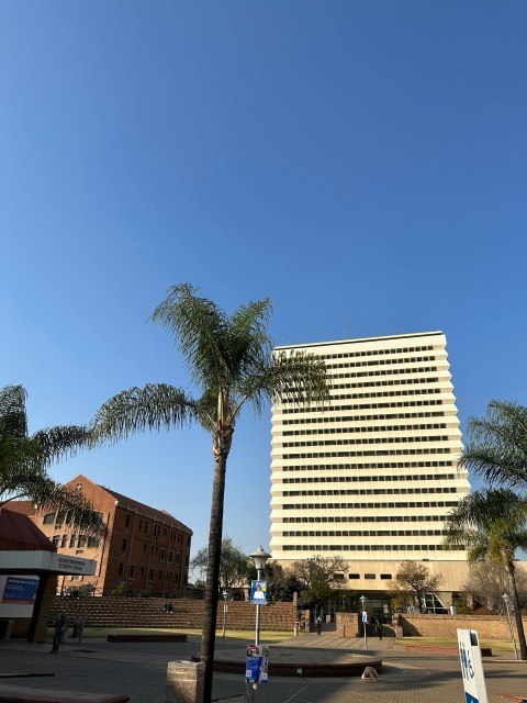 a tall building with a palm tree in front of it CYJ